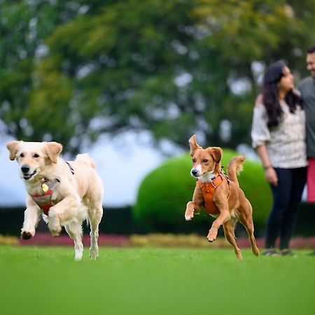 Sterling Nature Trails Sajan , Vikramgad Kudan Bagian luar foto